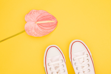 White sneakers and pink tropical flower on the yellow background. Trendy colors combination. Copy-space for your text. Flatlay, top view.の写真素材