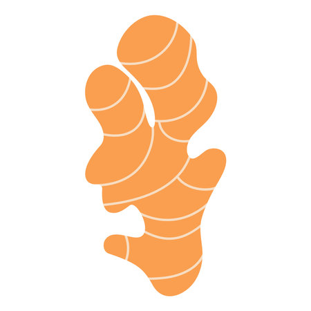 Ginger. Healthy vegetarian food. Isolated vector illustration.のイラスト素材