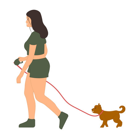 Woman walks with a dog on a leash. vector illustrationのイラスト素材
