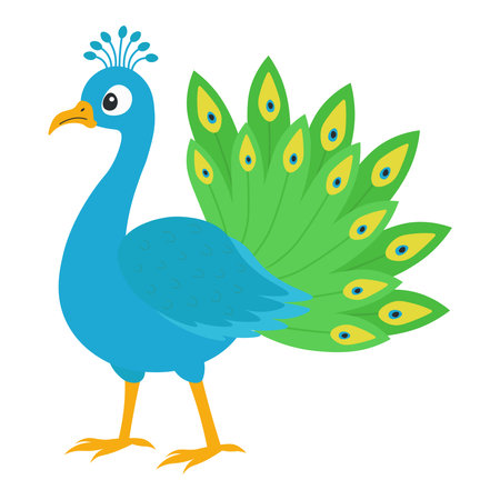 Peacock in flat style. Vector illustrationのイラスト素材