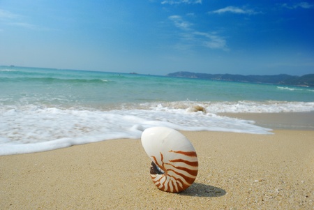 Placed on the beach on the Nautilusの写真素材