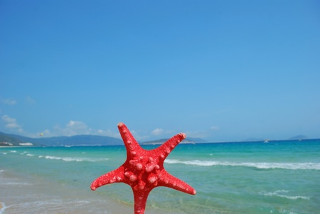 Starfish on the beach of sand and sea backgroundの写真素材