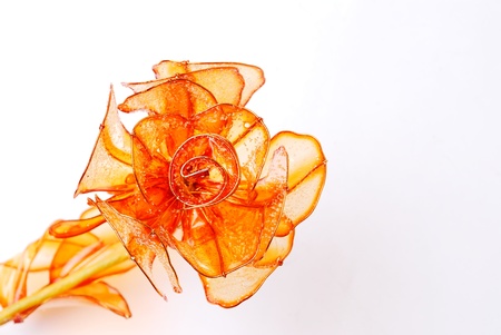 One containing all the colors of the flowersの写真素材