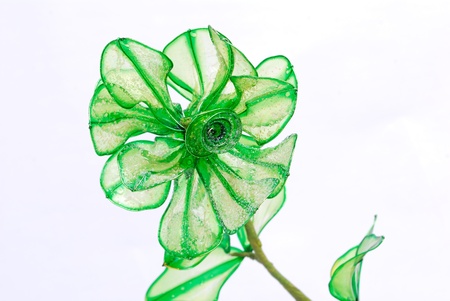 One containing all the colors of the flowersの写真素材