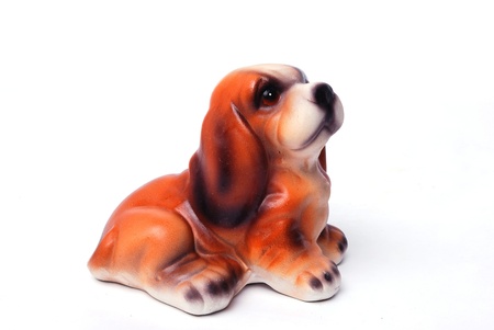 Puppy Labrador retriever cream in front of white background and facing the cameraの写真素材