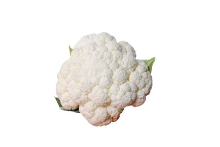Cauliflower isolated on white backgroundの写真素材