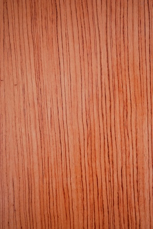 Wooden door texture background closeupの写真素材