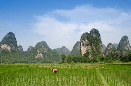 Pastoral scenery in Guilin,Chinaの写真素材