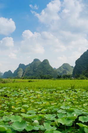 China Guilin Yangshuo raftingの写真素材