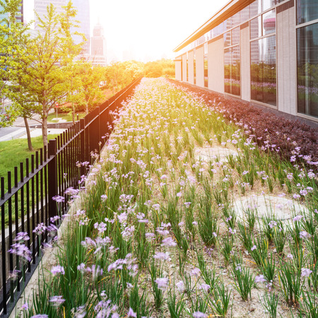 details of a modern office building with many windowsのeditorial素材