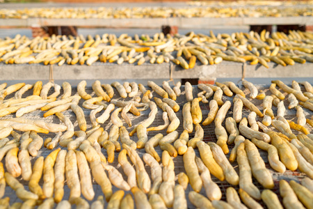 Dry cucumbers used to make picklesの写真素材
