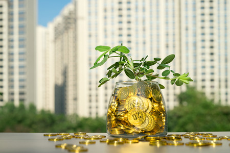 Plants planted in gold glass jarの写真素材