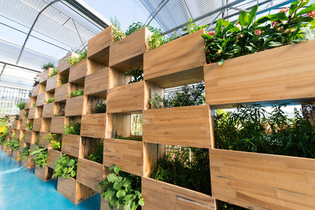 An new greenhouse with bedding plantsのeditorial素材