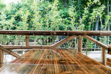bamboo plants in Asiaの写真素材