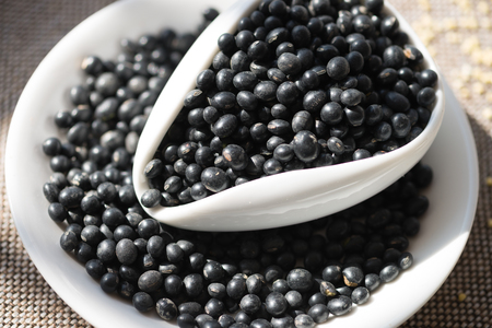 beans as a healthy nutrition high fiber food concept as a healthy cooking natural food ingredientの写真素材