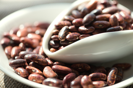 beans as a healthy nutrition high fiber food concept as a healthy cooking natural food ingredientの写真素材