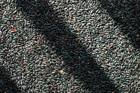 beans as a healthy nutrition high fiber food concept as a healthy cooking natural food ingredientの写真素材