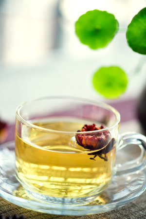 the scented tea of the Bracteantha bracteataの写真素材