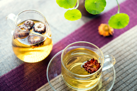 the scented tea of the Bracteantha bracteataの写真素材