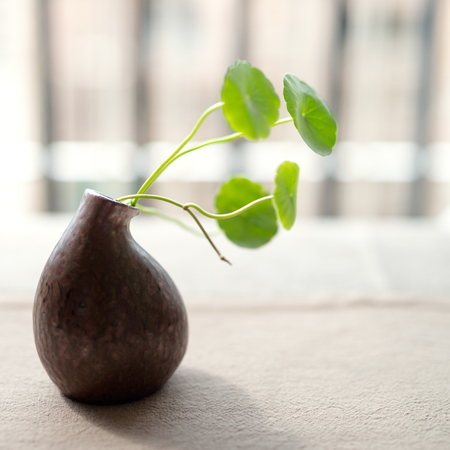 Potted plants on the balconyの写真素材