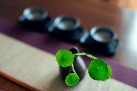 Asian tea set on wooden tableの写真素材