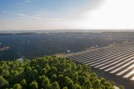 The Solar panels on the lawn