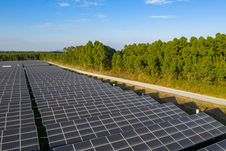 the Solar panels on the lawn