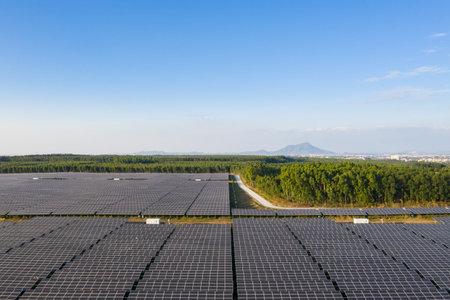The Solar panels on the lawn