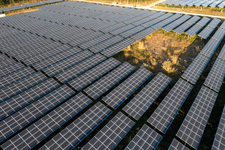 Solar panels on the lawn