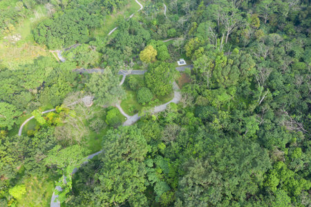 Top down detail view of park with trees