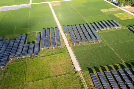Solar energy and the surrounding rice field