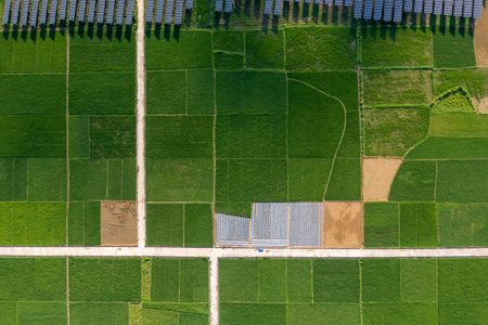 Solar energy and the surrounding rice fieldの写真素材