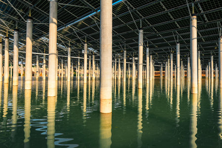 solar power panels in clean energy generating station