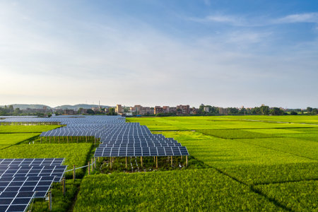 Solar power plants and rice fields at dusk