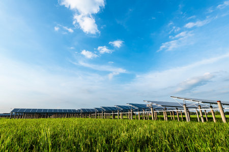 Solar power plants and rice fields at duskの写真素材