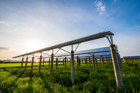 Solar power plants and rice fields at dusk