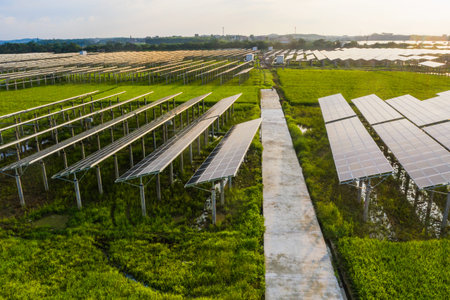 Solar power plants and rice fields at dusk