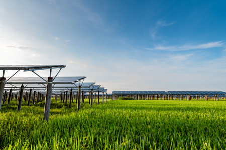 Solar power plants and rice fields at duskの写真素材