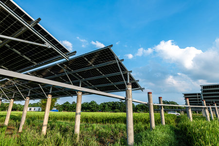 Solar power plants and rice fields at dusk