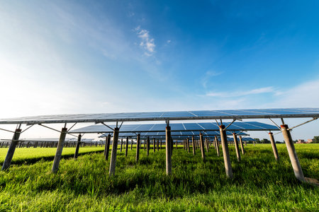 Solar power plants and rice fields at dusk