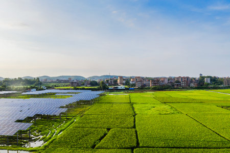 Solar power plants and rice fields at dusk