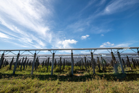 Solar power plants and rice fields at duskの写真素材