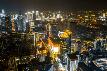 The city scene of Shanghai is at night