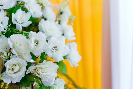 abstract flower background in bloomの写真素材