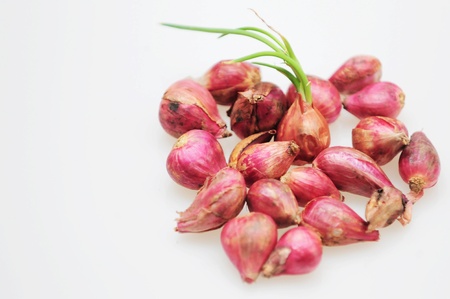 Love red onionの写真素材