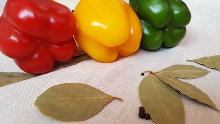 Sweet peppers of different colors and Bay leaves lie on linen fabric. Sweet pepper traffic light.の写真素材