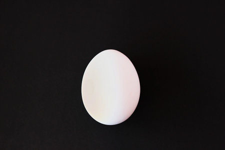 One white egg is located on a black background. The Symbol Of Easter. Egg for coloring.