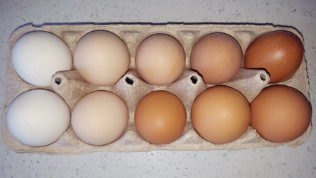 Eggs of different shades in a cardboard substrate on a quartz countertop. The natural color of the...