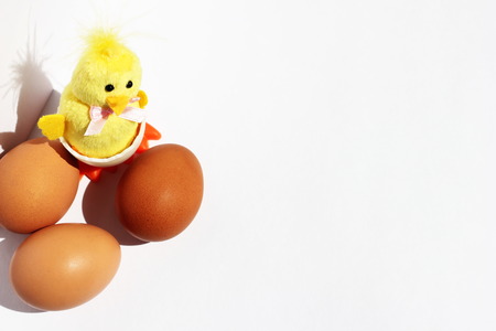 Chicken eggs are brown next to a toy yellow chicken. Happy Easter. Preparation for Easter.の写真素材