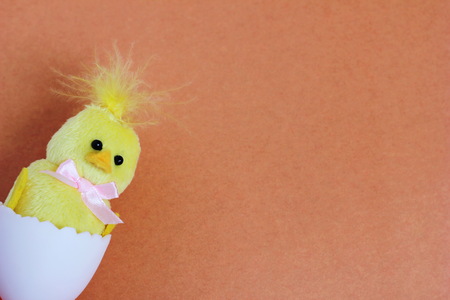 A yellow toy chicken hatched from a toy white egg. happy Easter. Symbol of new life. Space for text. The concept of the Easter holiday. Empty space to insert text.の写真素材